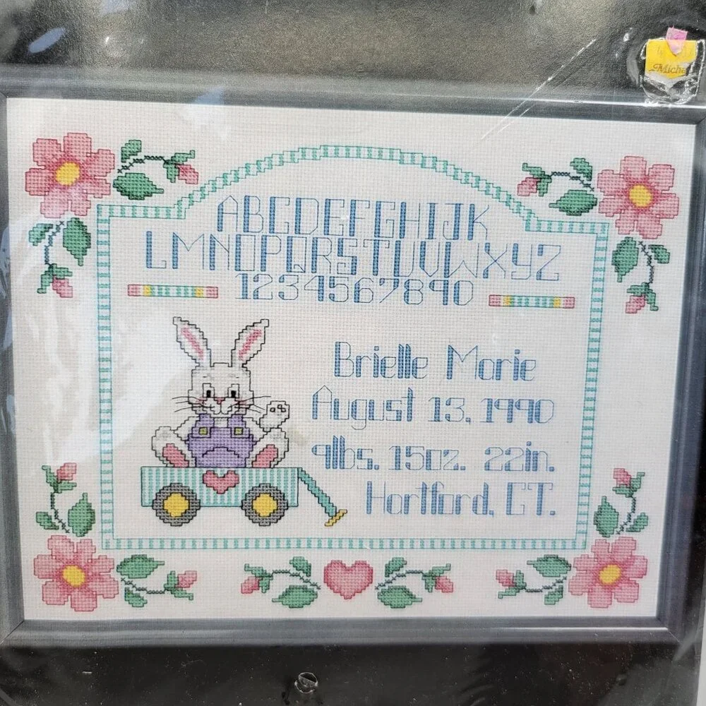 Janlynn Playland Pals Sampler Cross Stitch Kit 14 X 11